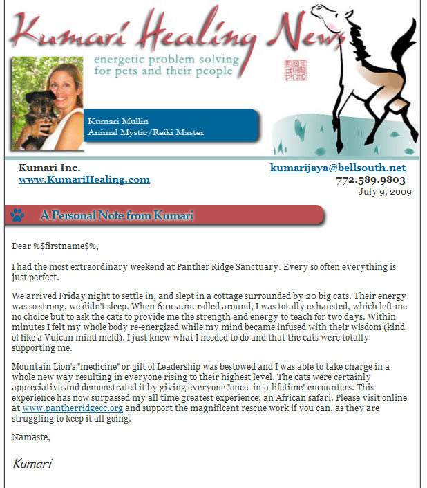 Newsletter Sample 2